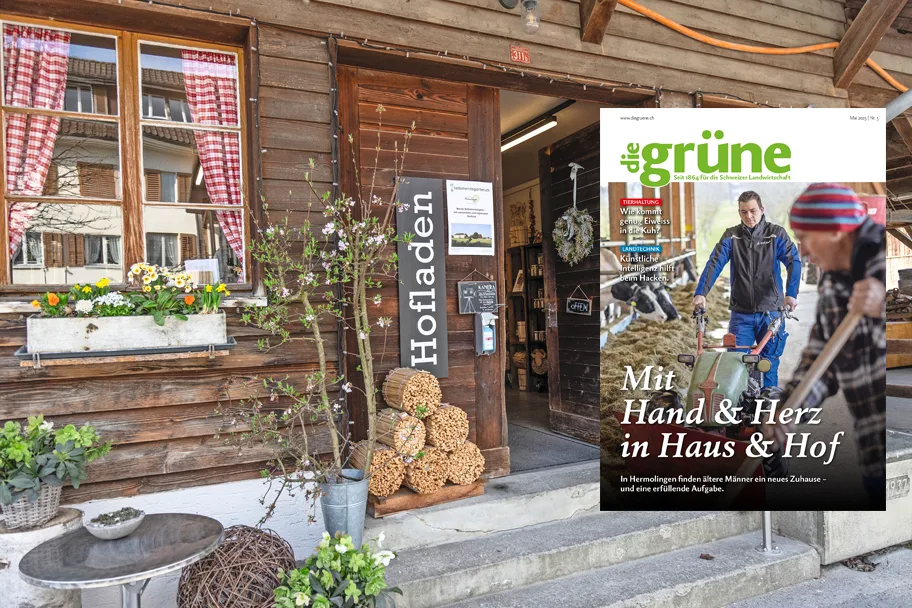 «die grüne» im Mai 2025 – Mit Hand und Herz in Haus und Hof