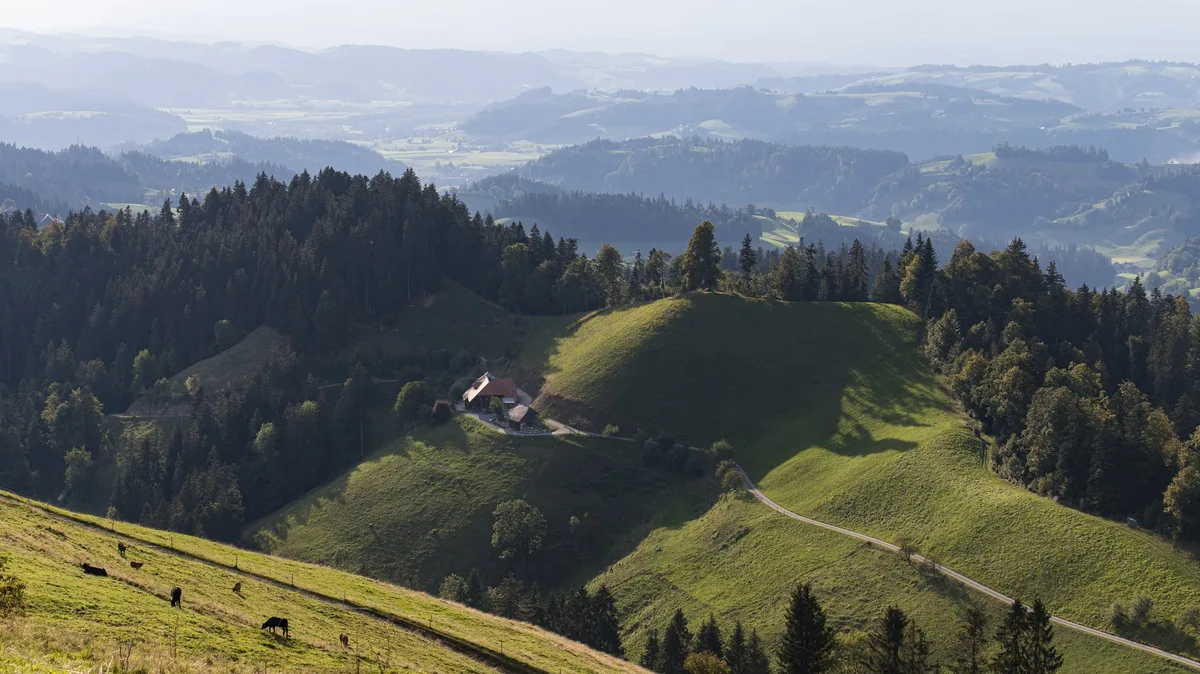 _MBZ7777 Auf der Lüderenalp