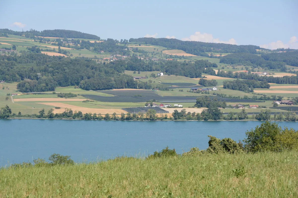 Baldeggersee_Spezialkulturen Die Luzerner Phosphorverordnung ist rechtens