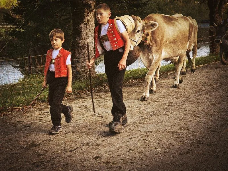 Kinder_1 Sechs Punkte, woran man merkt, dass man auf einem Hof aufgewachsen ist