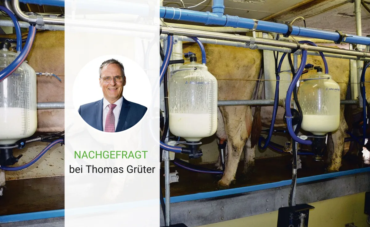 Thomas Grüter über den Milchmarkt: «Es herrscht eine gewisse Zuversicht»