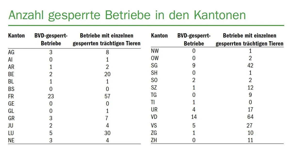 971b902b36f1fe3af619354feb6012dca646457c Nebst den 80 gesperrten Betrieben, haben 333 Betriebe einzelne verbringungsgesperrte trächtige Tiere im Bestand.