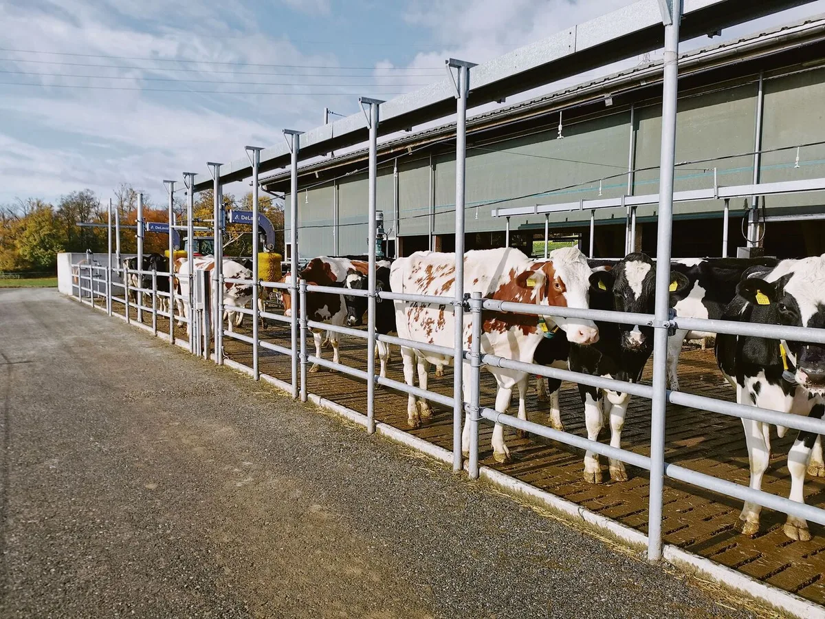 c24e65d0ec0ffd85b0279ac7c8b7f78fcc6523ac9584a4b035ef776a9a55871b Ein neuer Stall bereitet, wenn er richtig geplant ist, über eine lange Zeit Freude. Darum lohnt es sich, genügend Vorbereitungen zu treffen und sich vor der Planung umfassend zu informieren.