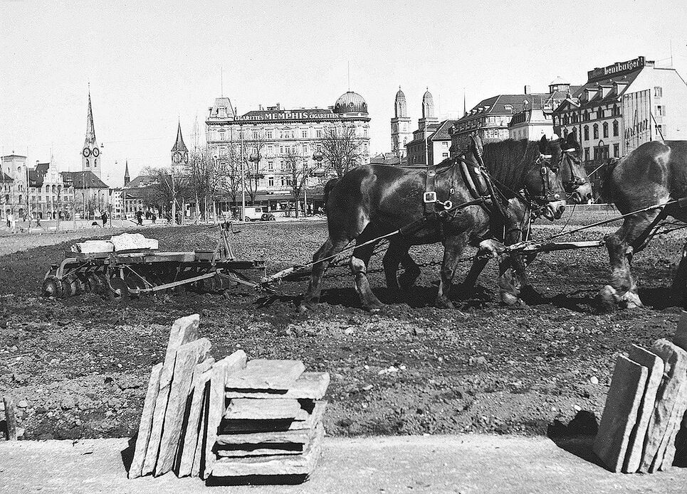 Seit ihrer Einführung sicherte die Kartoffel die Ernährung: Im Zweiten Weltkrieg wurde auf der Bellevue-Wiese städtisches Land für ihren Anbau genutzt.