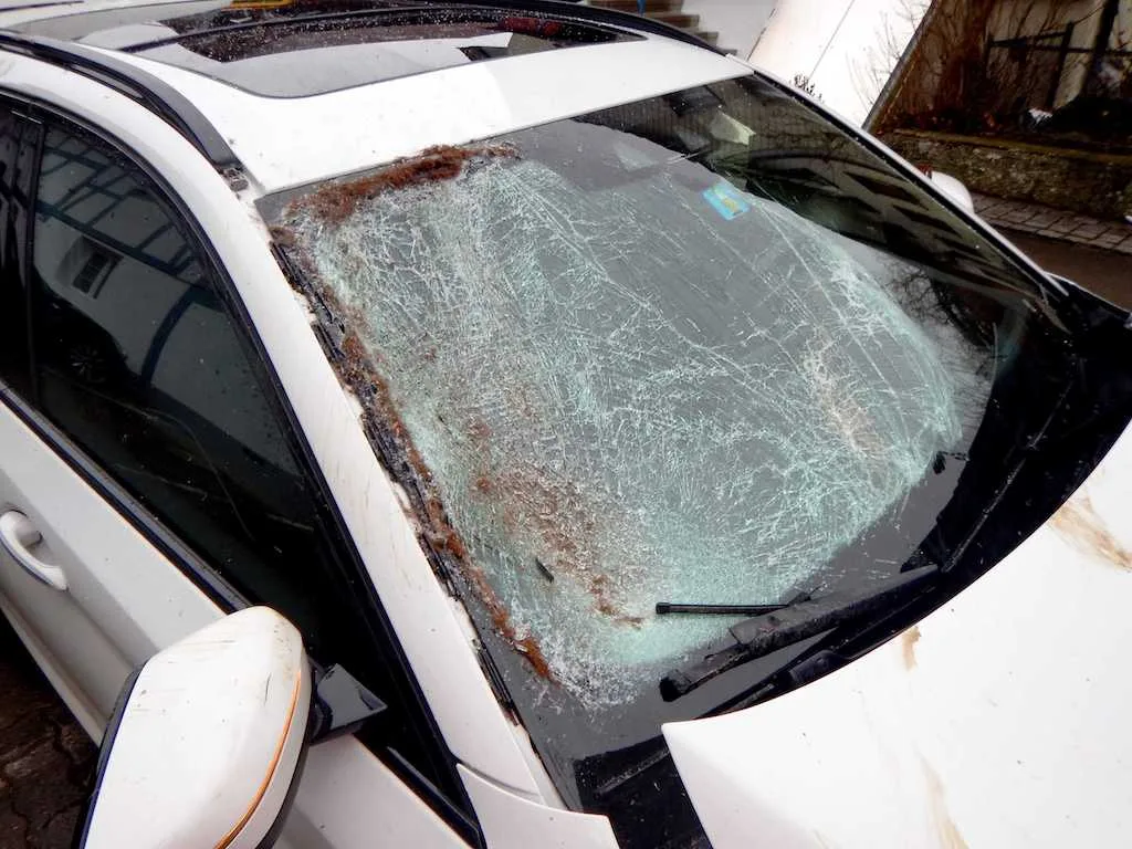 53f4c9093c93664cbc5143311cb154309e74795e Personen kamen bei dem Unfall keine zu Schaden. (Bild Kantonspolizei Thurgau)