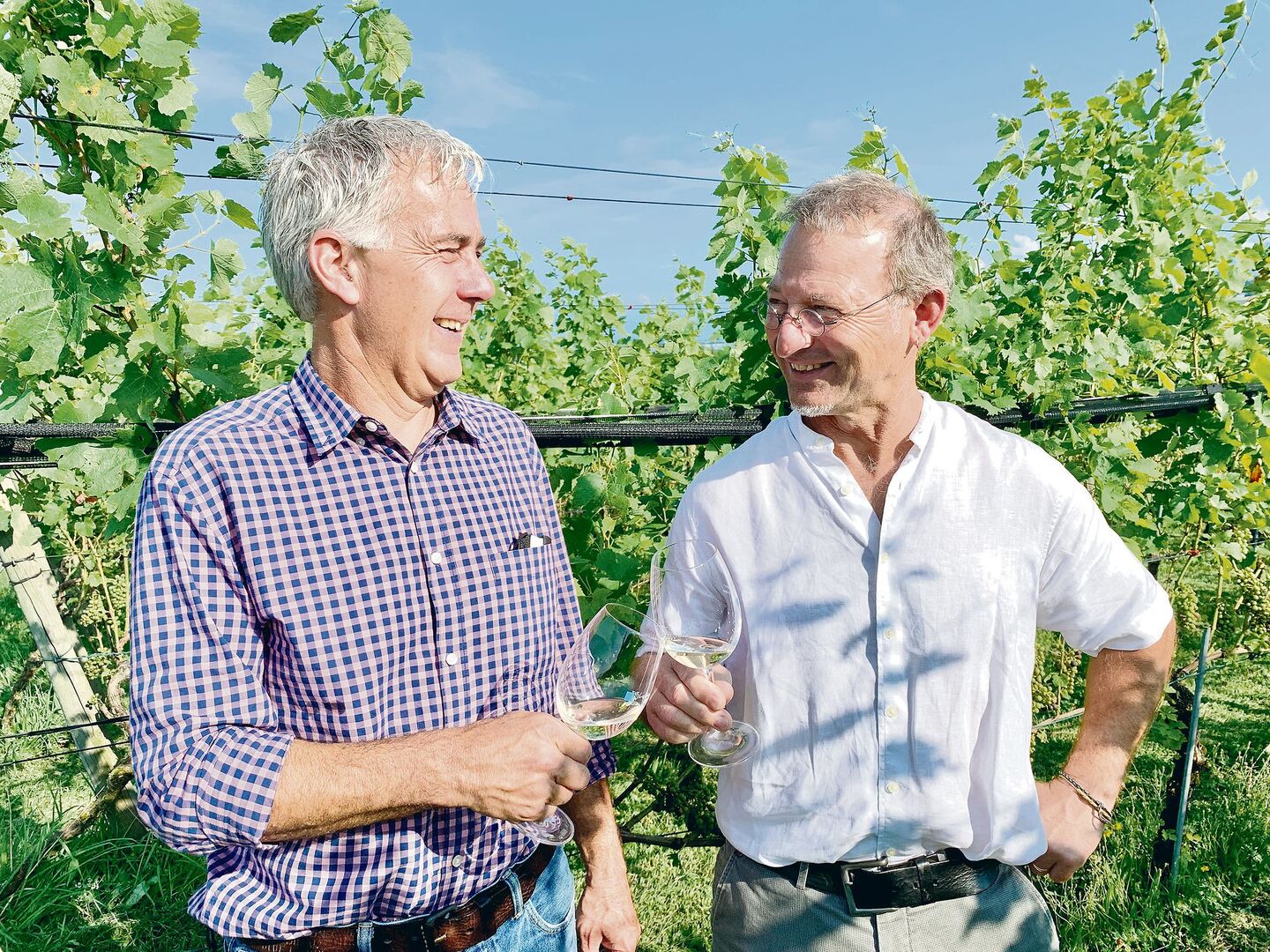 Der bisherige Präsident, Peter Krummenacher (r.), und der neue Präsident, Markus Reinhard, im Rebberg Haselrain in Oberkirch.
