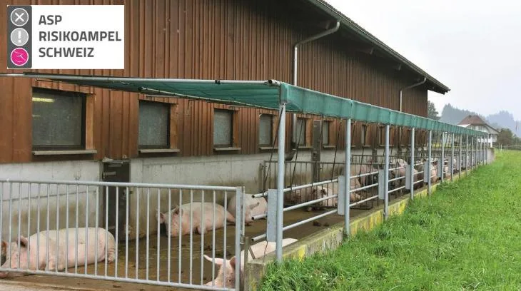 887631614408a9167b83ac8b9414acb325172371 Je nach Betriebstyp umfasst die ASP-Risikoampel maximal 118 Fragen in den Bereichen Sicherung des Betriebs, Sicherung des Stalls und Arbeitsabläufe. (Bild und Logo Suisag)