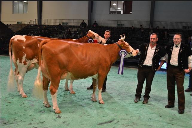 Wer wird wohl Swiss Expo Siegerin 2017? (Bild BauZ)