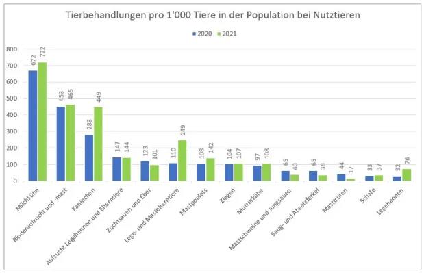 bericht_antibiotika_1 Milchkühe und Rinder werden am häufigsten mit Antibiotika behandelt