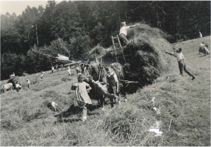 Alters und Pflegeheim Frienisberg: Wie früher gebauert wurde