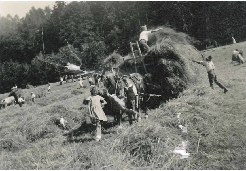 BZ_Rep_51_Geschichte_3 Alters und Pflegeheim Frienisberg: Wie früher gebauert wurde