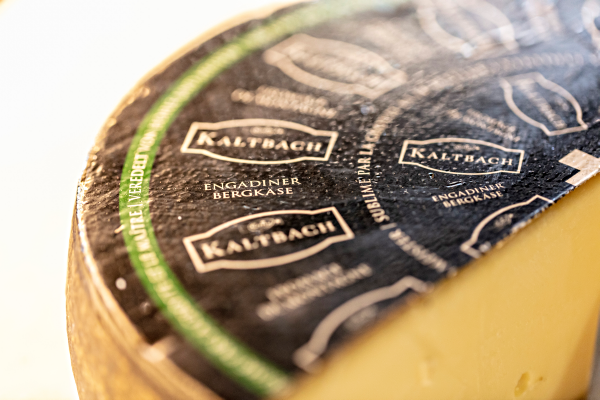 Quasi sonnengereifter Käse soll Emmis Klimabilanz verbessern