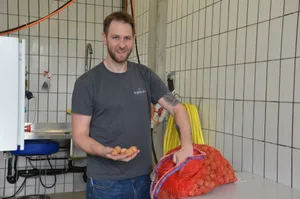 Marcel Gadient, Produktionsleiter der St. Galler ÖL AG, ist mit Lohnpressungen für lokale Nussproduzenten beschäftigt.