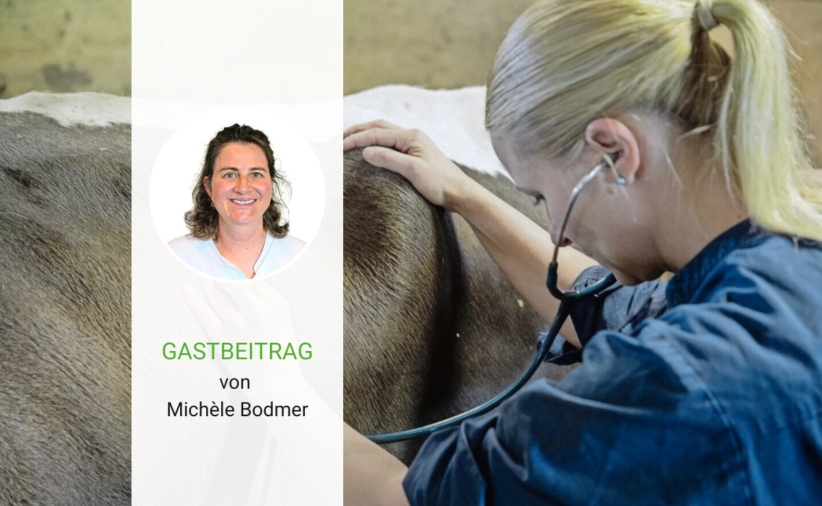 Der Doktor und das liebe (Milch-)Vieh