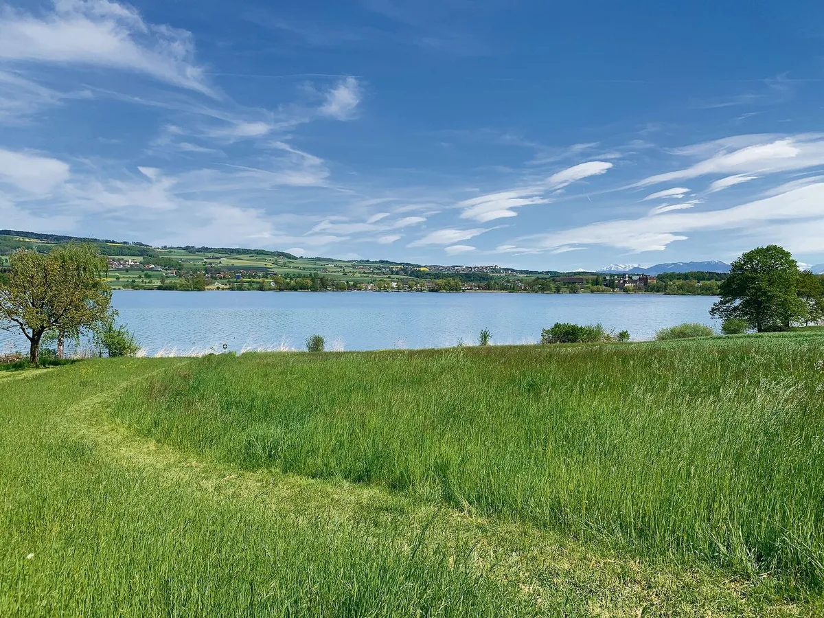 af84b1c08a103a4c755be953ede01701af3c2675681eacf95e8b7467a4d7698e Wegen überwiegender Interessen des Naturschutzes gelten am Baldeggersee teils stark erweiterte Gewässerräume. Die Festlegung gibt im Kantonsrat zu reden.