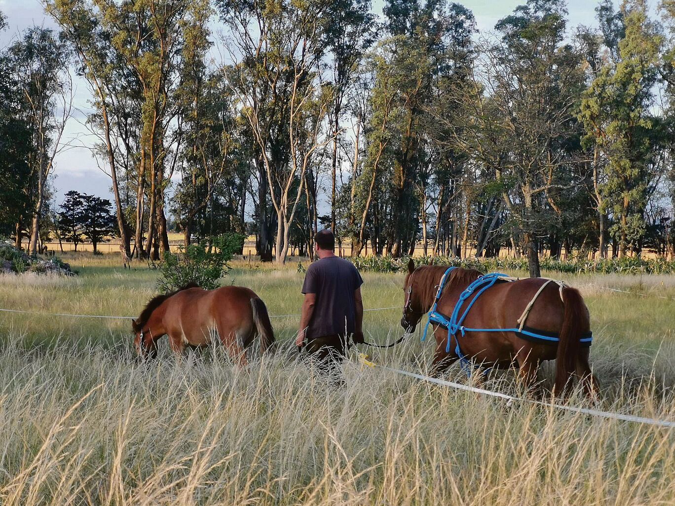 In den kalten argentinischen Wintern lernte Egon Tschol das Energiesparen
