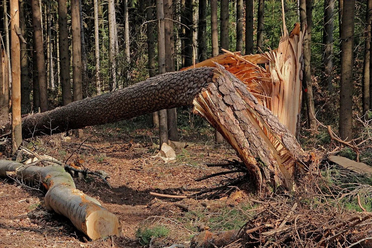e61ac14cc05c6ced1134f2341a78b2a849e1b66e Die versicherten Schäden aus Naturkatastrophen kletterten im laufenden Jahr um geschätzt 40 Prozent auf 76 Milliarden Dollar, so Swiss Re. (Bild Pixabay)