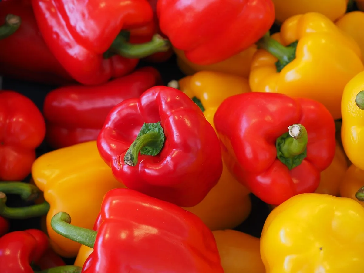 513bf7b8d4b3ef21d47548f79f5fbbd02d9c3f6a Peperoni, Peperoncini, Paprika, Chili? Die vielen verschiedenen Namen für das farbenfrohe Gemüse stiften oft Verwirrung. (Bild pd)