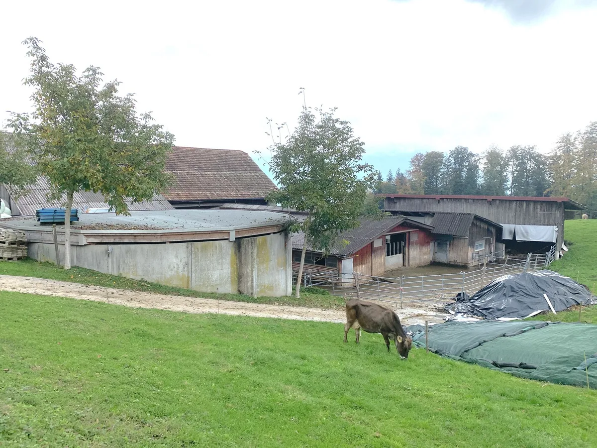 Abgedecktes Güllesilo auf einem Landwirtschaftsbetrieb im Kanton Schwyz. In diesem Kanton und im Kanton Zug wurde die damals noch mit Beiträgen unterstützte Abdeckung vor Jahren stark forciert, im Gegensatz zum Kanton Luzern.  (Bild Josef Scherer)