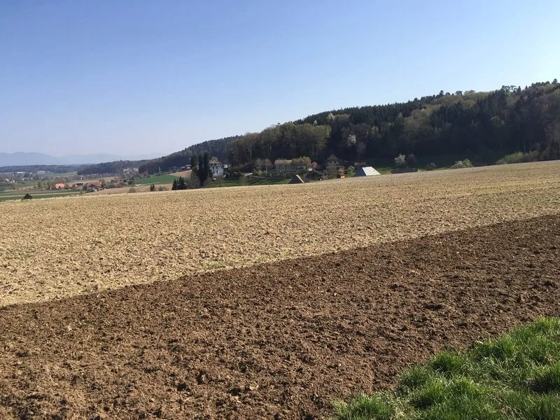 Die nationale Bodenstrategie ist gut – braucht aber zusätzlichen Effort