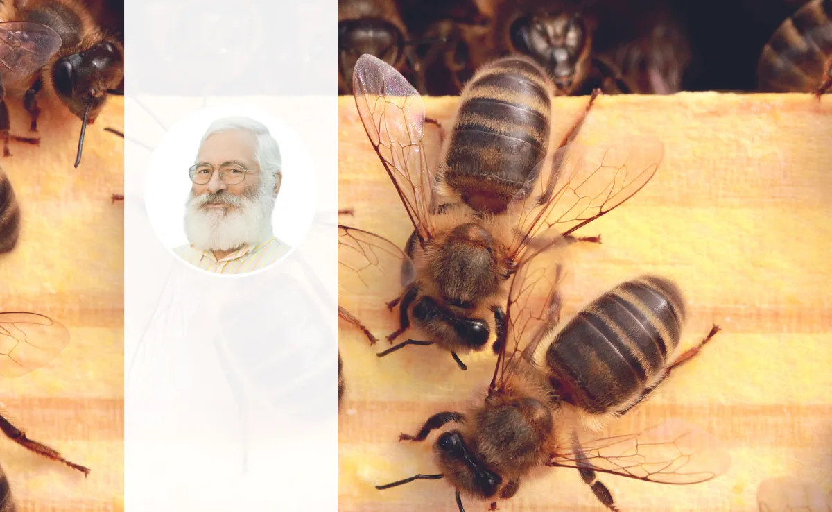 Porträt von Hans Jäckle, im Hintergrund sind krabbelnde Dunkle Bienen zu sehen.