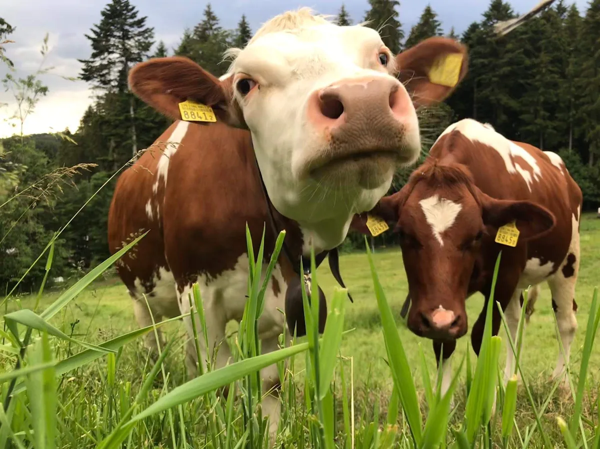 Die ASR schaut auf ein erfolgreiches Geschäftsjahr zurück