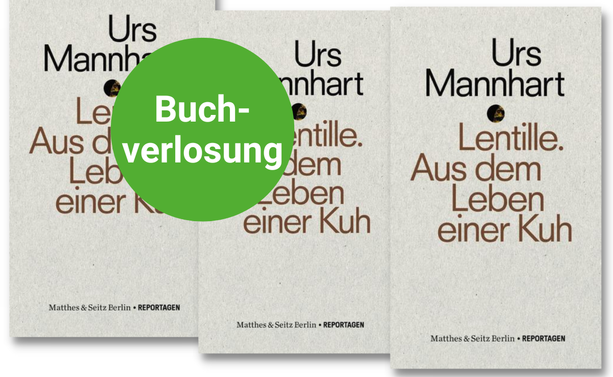 Das Buch «Lentille. Aus dem Leben einer Kuh» von Urs Mannhart