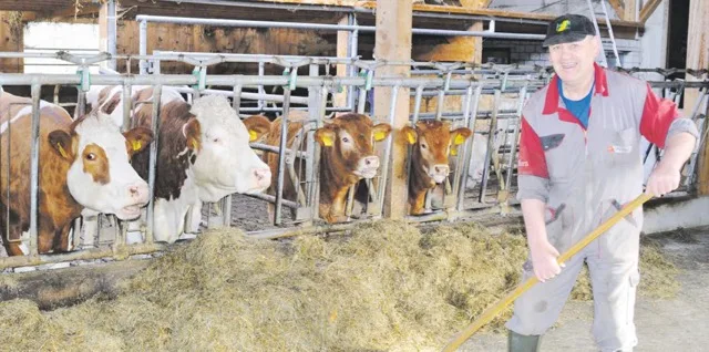81b9902a43cd2eb57f109288195d69bd93a7fd34 Tony Moos beim morgendlichen Füttern Anfang April. Jetzt sind die Kühe wieder auf der Weide. (Bild Debora Moos)