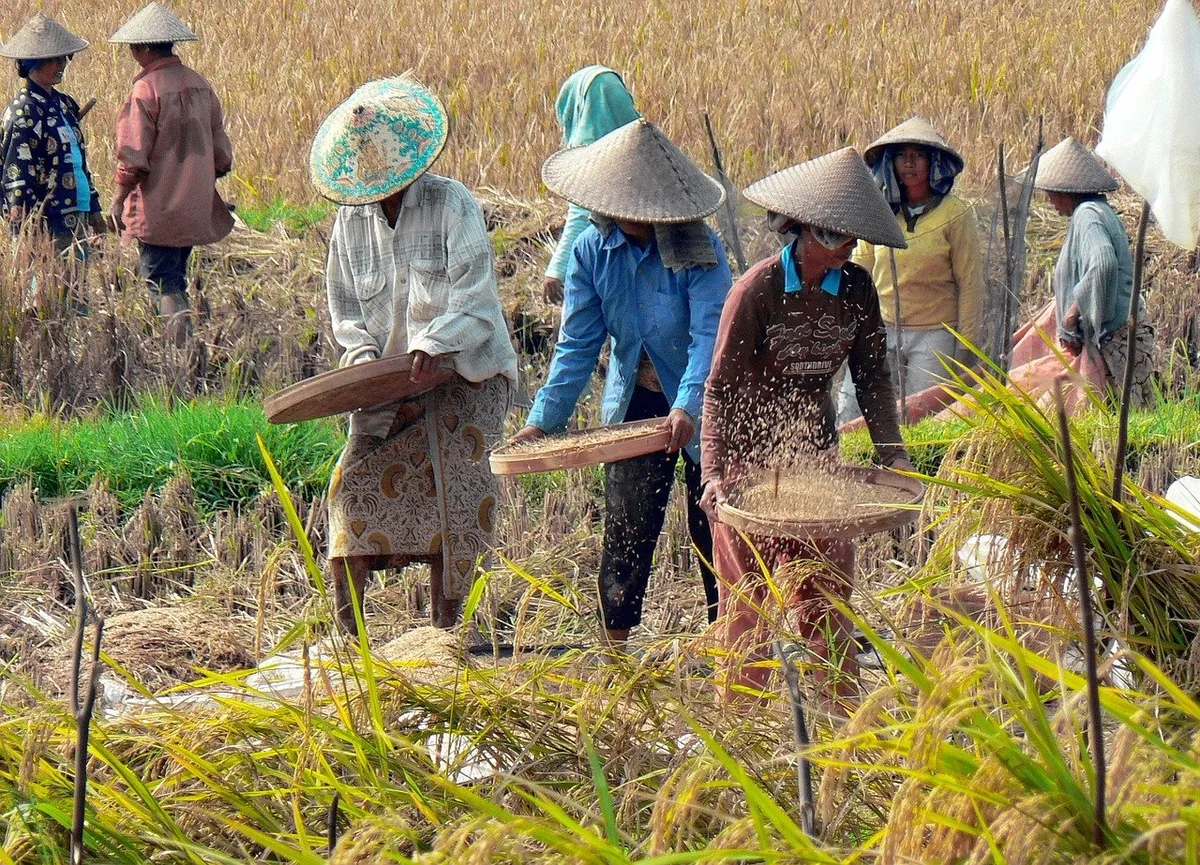 cba12be8ff5ecd49ec6ee2e30a0375762db8f57e Dass das Freihandelsabkommen Indonesien Wirtschaftswachstum bringen könnte, sieht der SBLV als Vorteil. (Bild Dezalb/Pixabay)