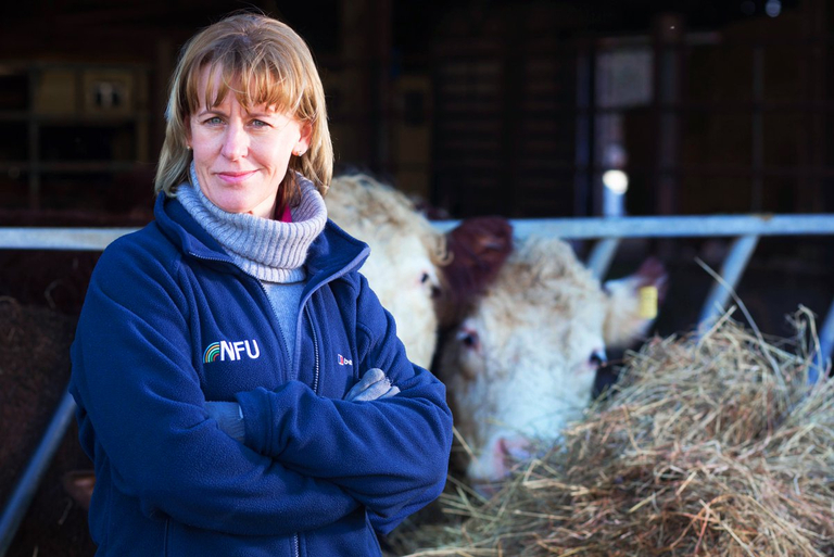 Erste Frau an der Spitze der britischen Bauern: Minette Batters. (Bild NFU)