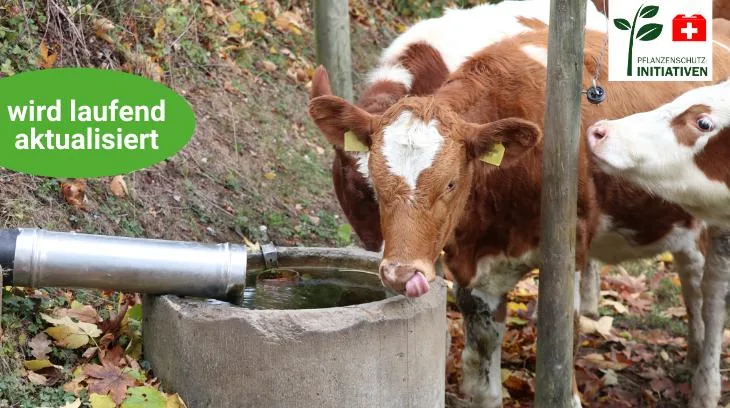 3cb26f0562154b8eaeb0a82135d11f1d Die BauernZeitung informiert über die Trinkwasser-Initiative (Bild: BauernZeitung/Ruth Aerni)