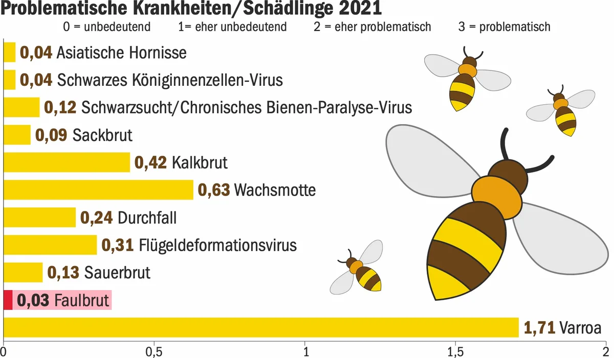 BZ-BET5-19-Bienen-Grafik__3_ Bienenseuchen sind 2021 zurückgegangen