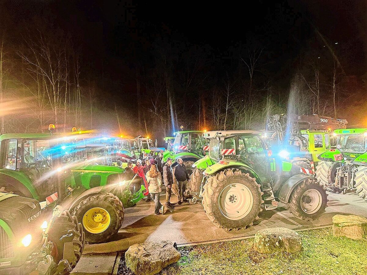 Anfang Jahr gingen Schweizer Bauern aus Protest auf die Strasse. Es gibt mehrere Vorstösse, die sich mit ähnlichen Forderungen befassen.