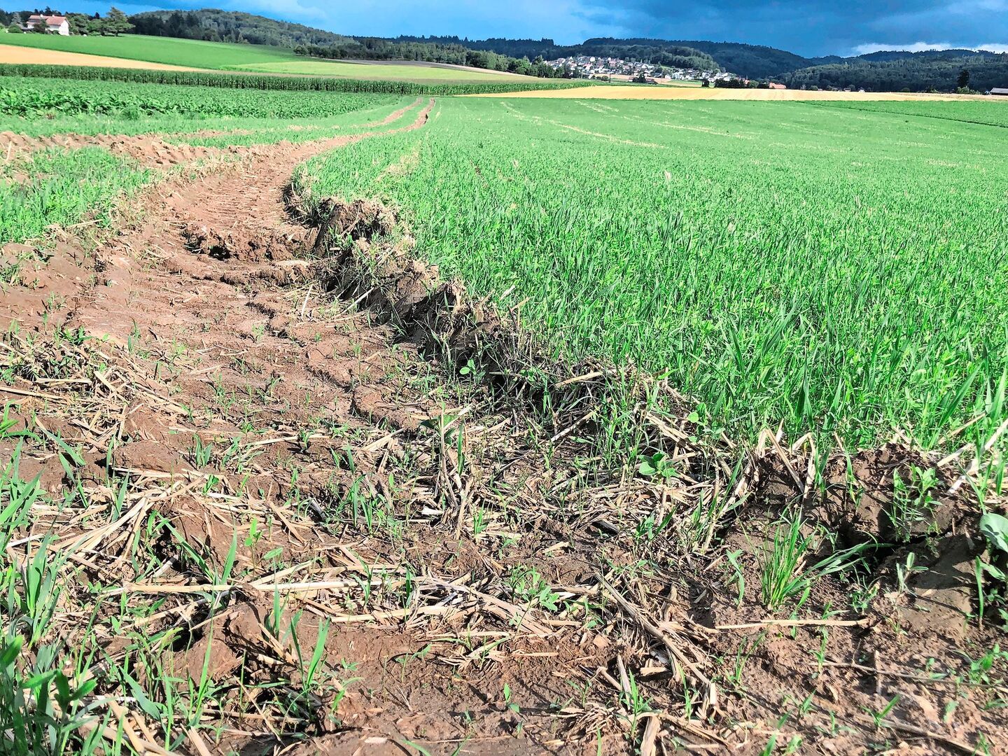 Der Klimawandel sei bereits allgegenwärtig und die Landwirt(innen) müssten in ihrer Anpassung unterstützt werden, so die Agrarallianz.