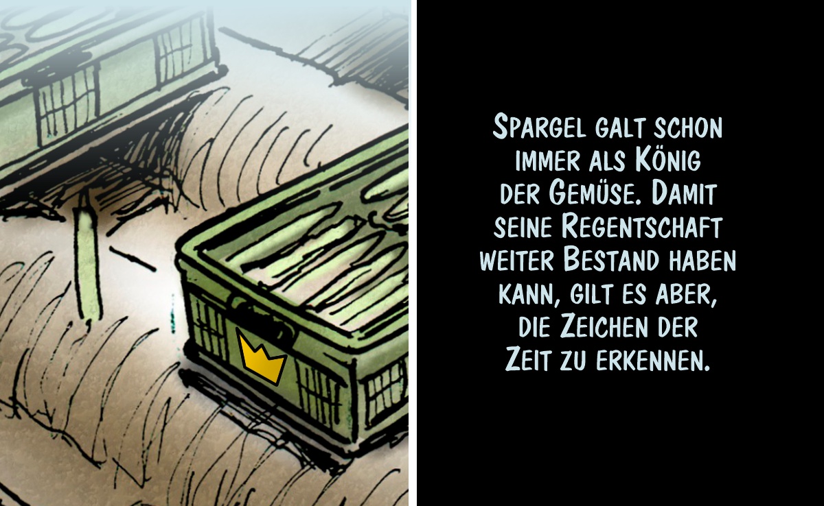 Die Regentschaft von König Spargel sichern: Cartoon von Marco Ratschiller/Karma