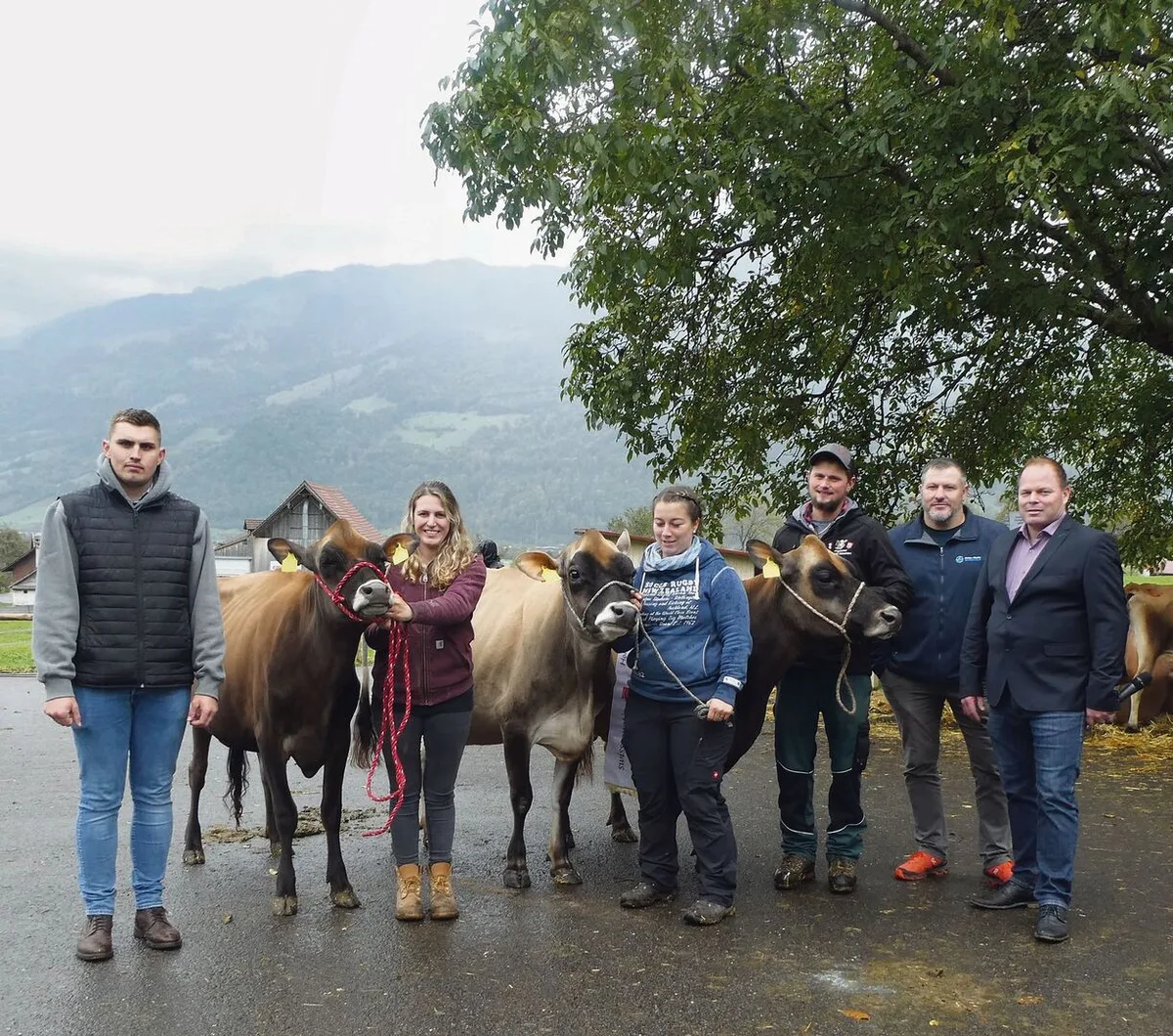 f73dfe588d047d839a7393f3436b6f6874051f378adac7a9a0bd8f20cf2075a4 Die herrlichen Jersey-Sieger-Tiere mit den Besitzern, Experten und Ringman.