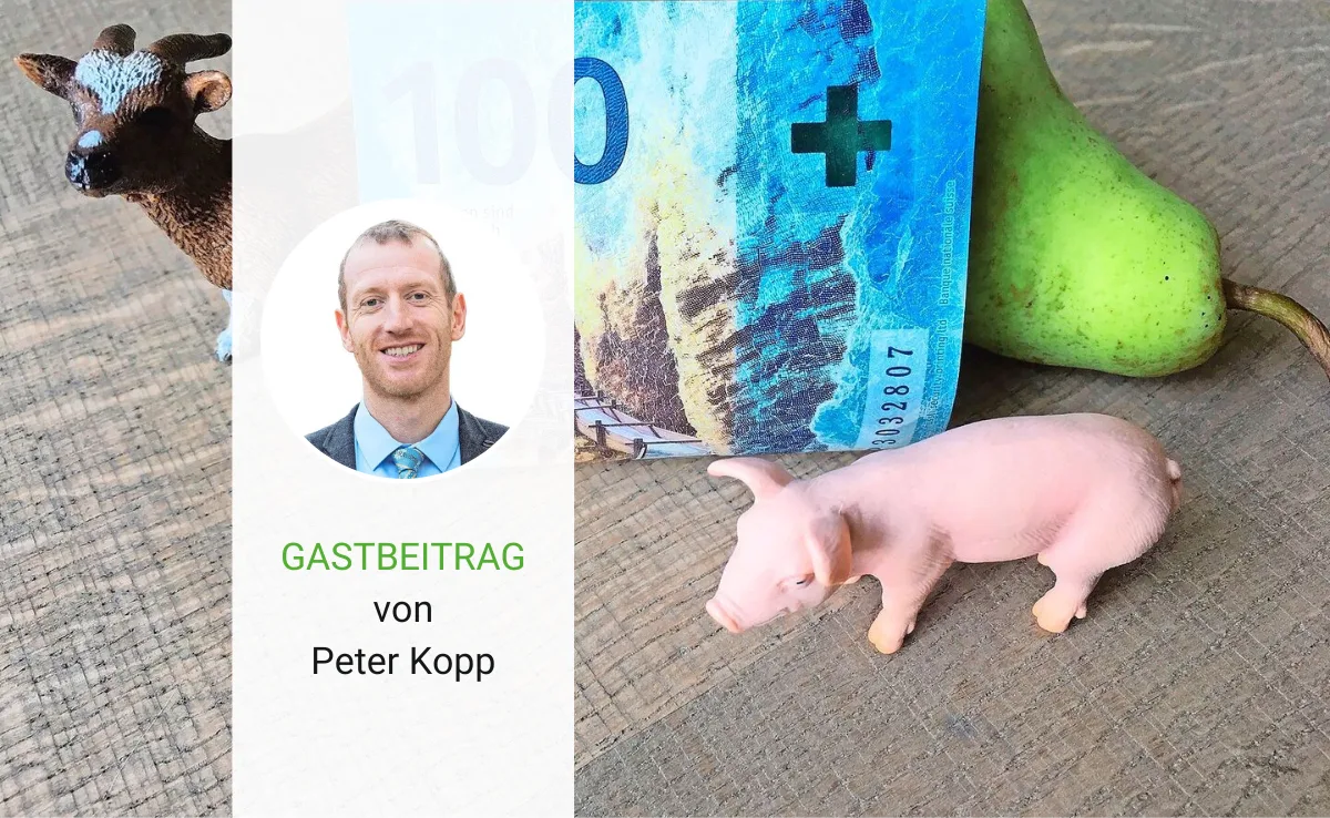 Artikel_Gastbeitrag_BauZ_KoppFinanzen Einheitliche Finanzierung: alle profitieren!