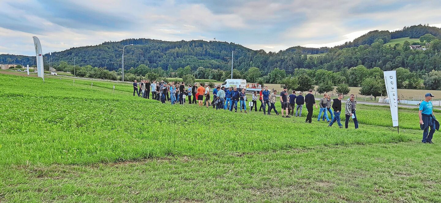 Fachtagungen sind gute Gelegenheiten, um verschiedene Zwischenkulturen im Feld zu vergleichen.Bild: Liebegg