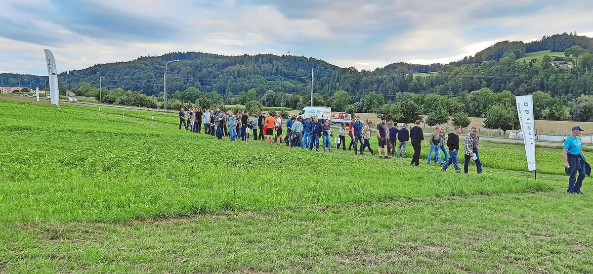 fe0dad4f9136bd78d70285b35f6a734de63664a2f1cc9c9d6a5e749156e62bfe Fachtagungen sind gute Gelegenheiten, um verschiedene Zwischenkulturen im Feld zu vergleichen.Bild: Liebegg