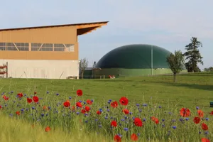 Es seien wegweisende Entscheide für Biogasanlagen getroffen worden, kommentiert Ökostrom Schweiz die Ergebnisse der Herbstsession.