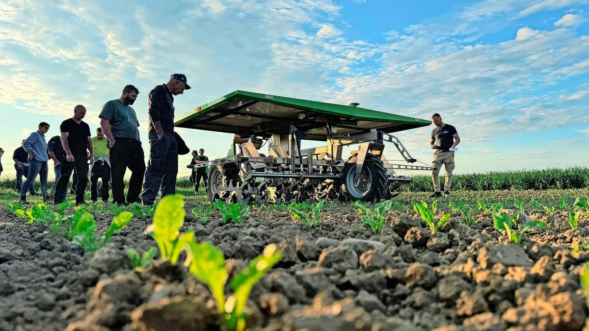 2387e3a57fa31305aae1348c4a7b8aaec5fc8a488338f21443d45a348b00969d Der Farmdroid wird während seiner Arbeit von den Teilnehmern begutachtet. Via GPS weiss er, wo die Reihen sind und die Zuckerrübenpflanzen stehen.