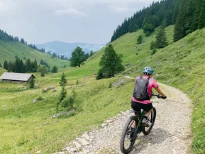 Würden Biker so auf Wegen bleiben, gäbe es weniger Nutzungskonflikte mit der Land- und Alpwirtschaft.