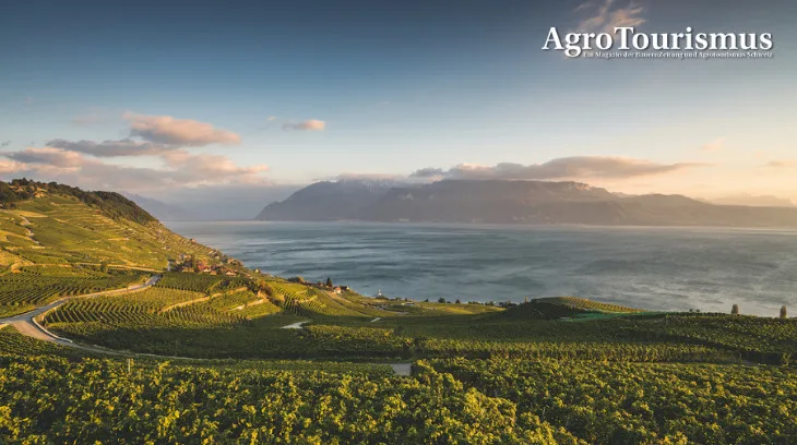 085c9b83936aa7814f144a5083a713bf891aeac5 Die wunderschöne Weinbauregion Lavaux zwischen Lausanne und Vevey gehört zum Unesco-Weltkulturerbe. (Bild Schweiz Tourismus/Ivo Scholz)
