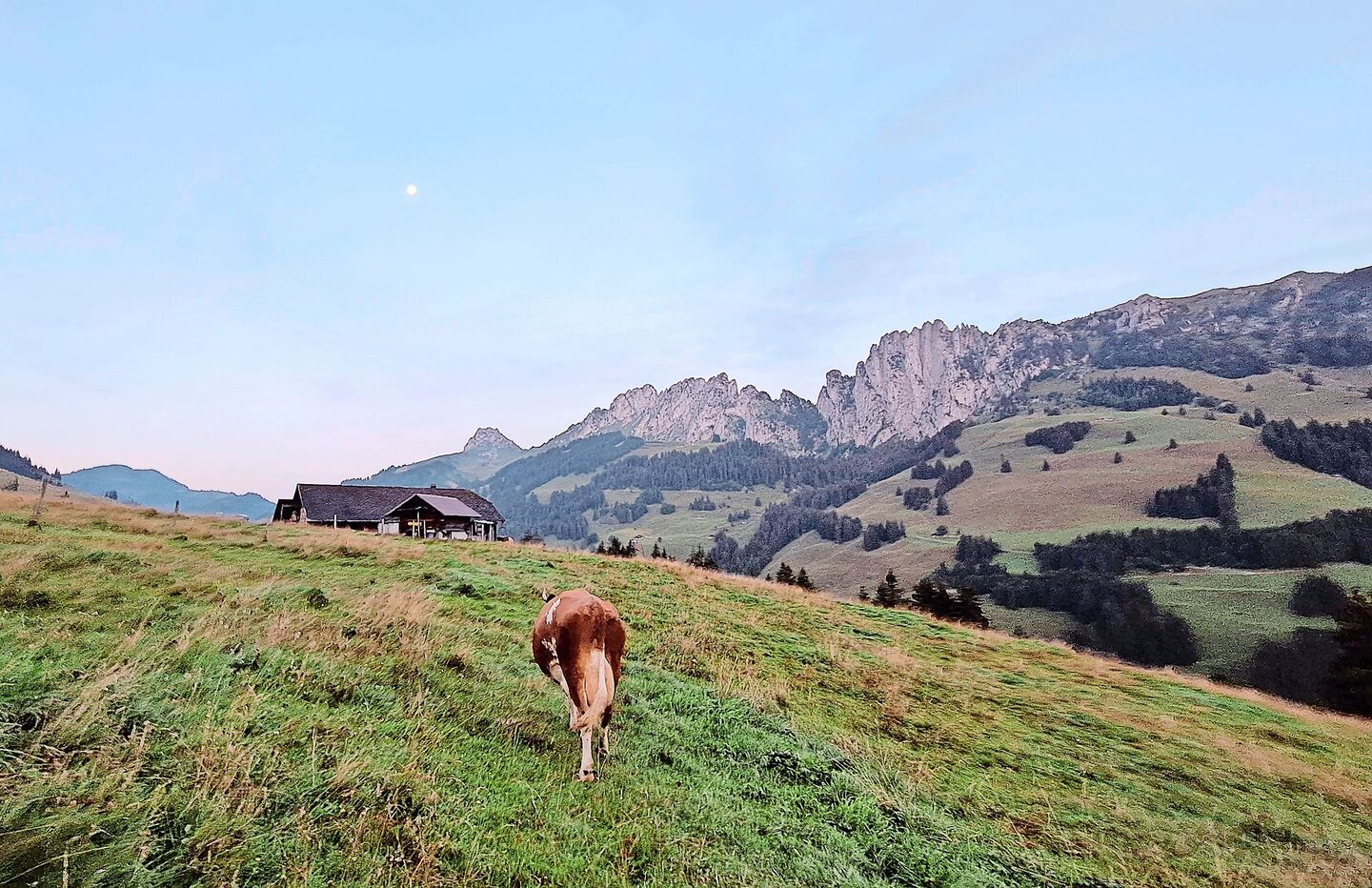 Nachdem Jolanda Wyttenbachs erster Arbeitstag direkt mit der Ernte des Ökoheus gestartet hatte, machte sie sich gemeinsam mit ihrer Lehrmeisterfamilie auf den Weg auf die Alp nach Zaggisboden.