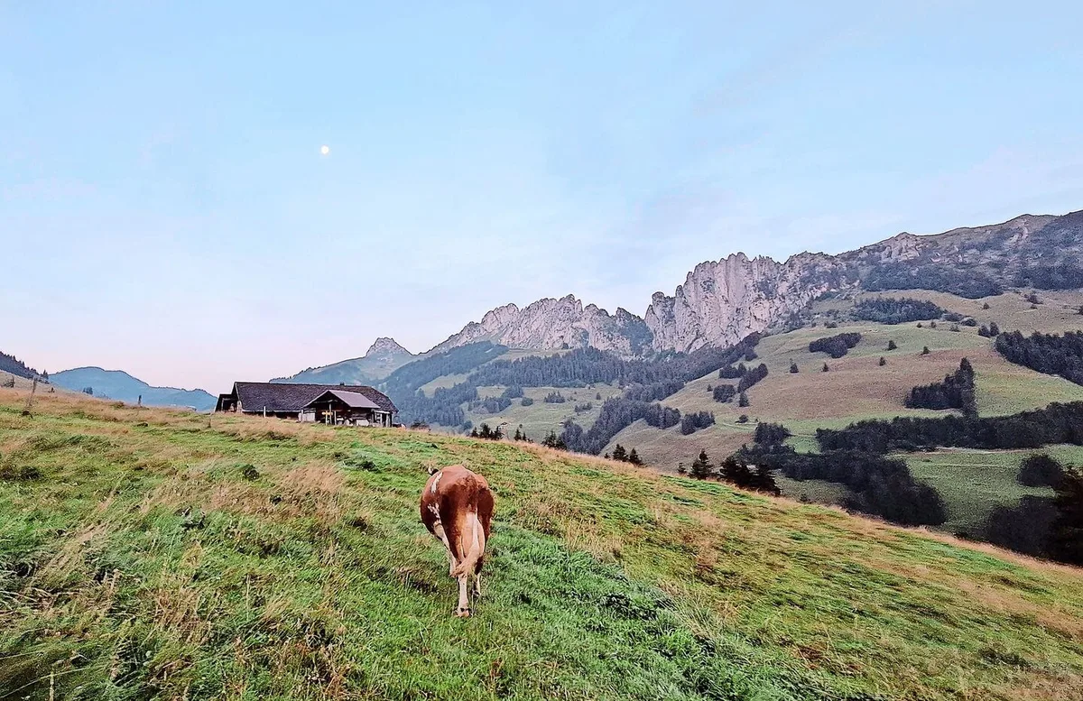 Nachdem Jolanda Wyttenbachs erster Arbeitstag direkt mit der Ernte des Ökoheus gestartet hatte, machte sie sich gemeinsam mit ihrer Lehrmeisterfamilie auf den Weg auf die Alp nach Zaggisboden.