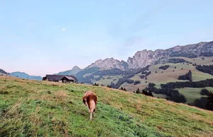Nachdem Jolanda Wyttenbachs erster Arbeitstag direkt mit der Ernte des Ökoheus gestartet hatte, machte sie sich gemeinsam mit ihrer Lehrmeisterfamilie auf den Weg auf die Alp nach Zaggisboden.