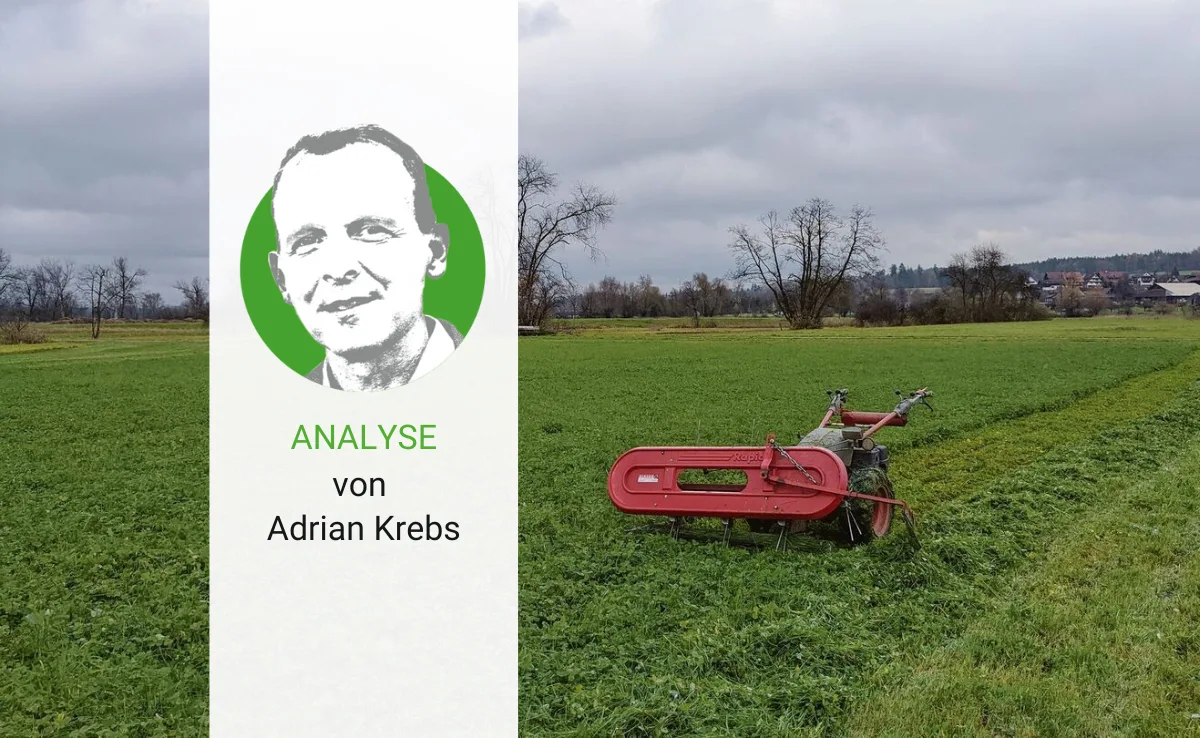 analyse-51-krebs Kein Grund zur Aufregung: Die Klimakrise bringt auch Chancen mit sich