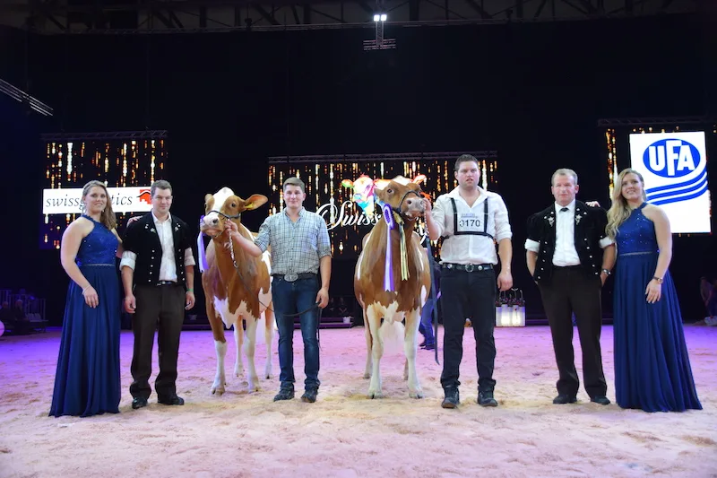5ae1a5dae6e8999242ae5e3e36c7945e4b17d50a Als Grand Champion der Swiss Fleckviehschau ging schlussendlich Orlando Nikita (rechts) von Markus und Joel Fankhauser und Werner Sommer aus Süderen BE, vom Platz. Ihr folgte mit Hardy Bonny von der BG Jungen aus Kiental BE, die Reserve. Nikita wurde auch noch zur Supreme Champion der Zweinutzungsrasse.