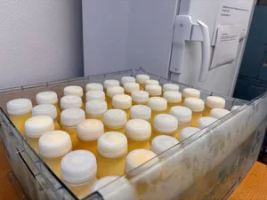 Fast tausend Milchproduzenten liessen in den Kantonen Appenzell Inner- und Ausserrhoden sowie im Kanton Zürich ihre Milch auf PFAS-Belastung untersuchen.