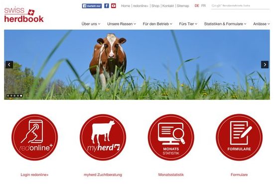 Die Website ist neu strukturiert. (Bild swissherdbook)
